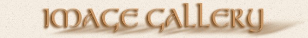 Image Gallery