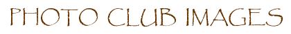 Photo Club Images