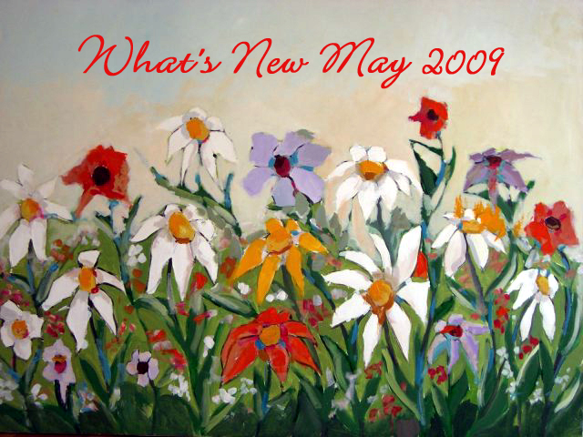 What's New may 2009