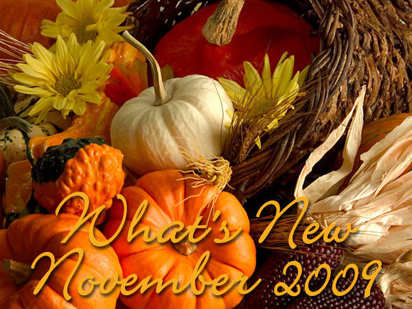 What's New November 2009