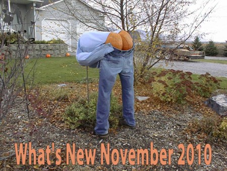 What's New November 2010
