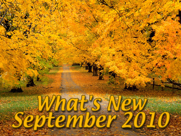 What's New August 2010