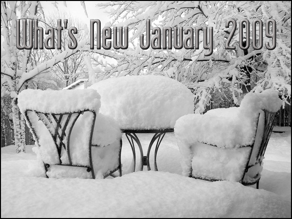 What's New January 2009 Patio set covered in snow.